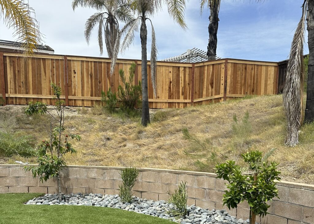 Project View 2