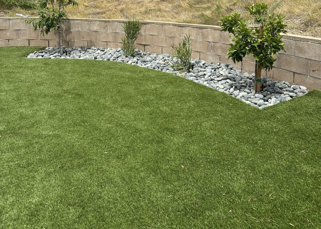 Project View 3