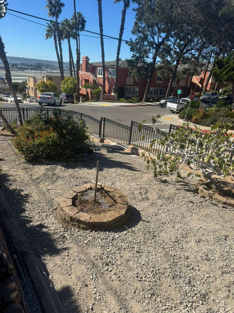 Project View 12