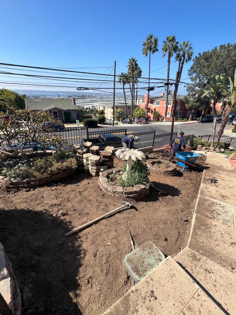 Project View 14