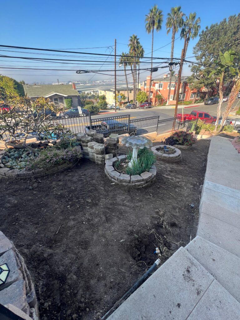 Project View 15