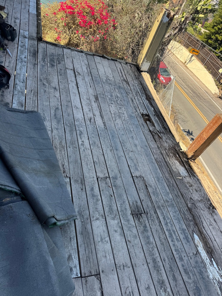 Project View 11