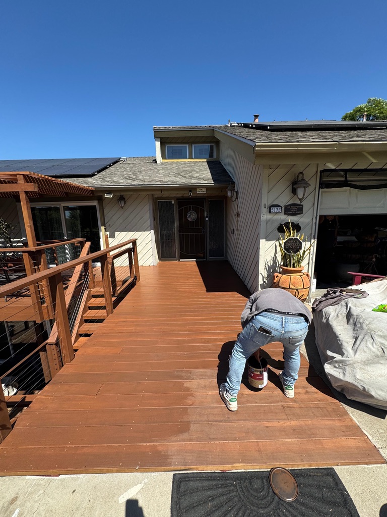 Project View 6