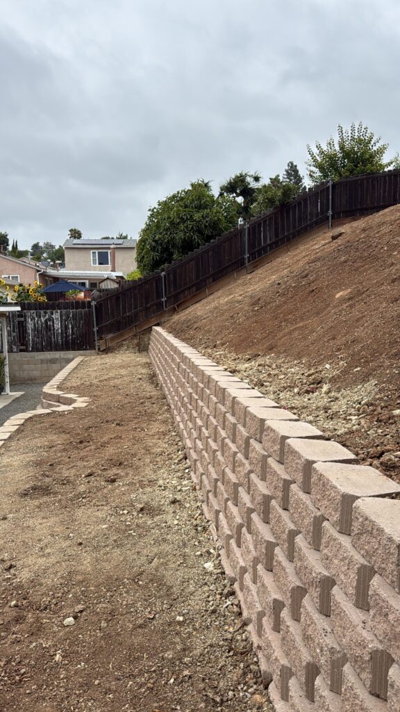 Project View 3