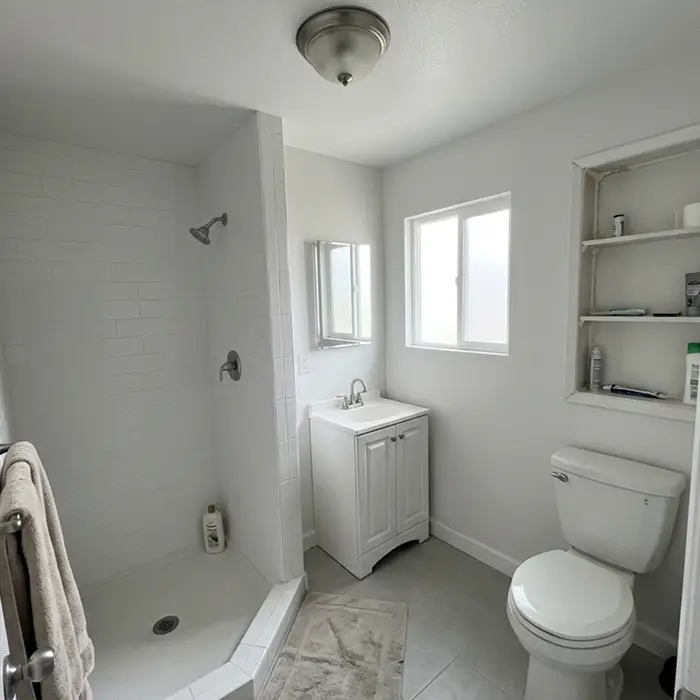 Compact, efficient small bathroom remodel