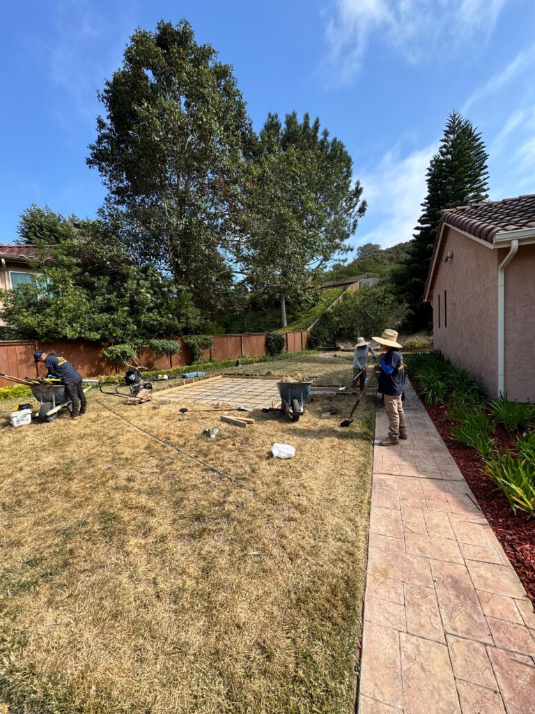 Project View 5