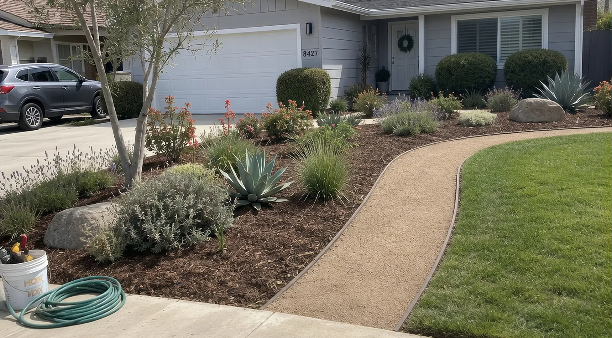 Finished front-yard landscaping with drought-tolerant planting beds and a decomposed-granite path