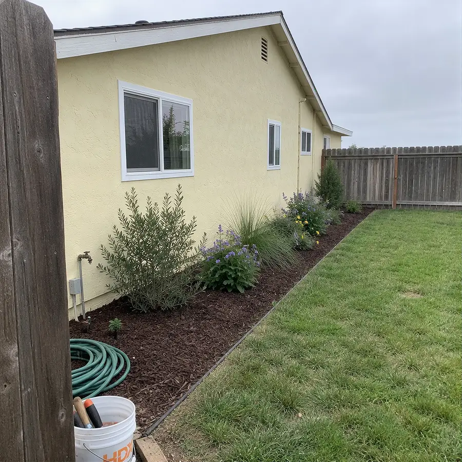 Freshly planted backyard garden bed with drought-tolerant shrubs and grasses in bark mulch along a fence