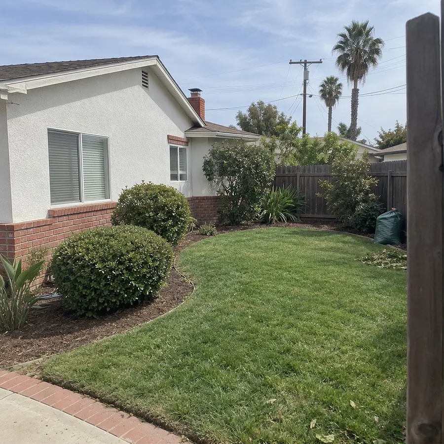 Established backyard with trimmed shrubs, freshly edged lawn and neatly raked planting beds